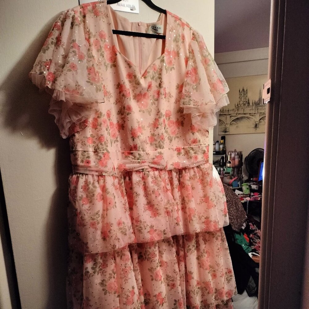 JessaKae Adelaide 3X Pink Peach Floral Ruffle Maxi Dress w/ sequins  EUC